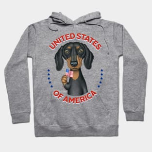 Dachshund United States of America Hoodie